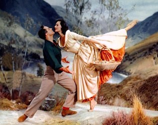 If you go doon to the woods today...