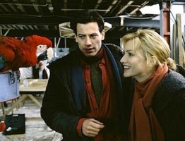 Look on the bright side