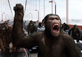 Apes Will Rise