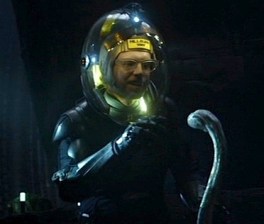 An inexplicably stupid thing