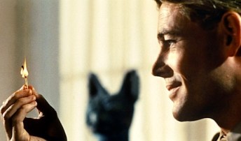 Filmmaking of Arabia