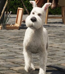 Of course he can't talk, he's a dog