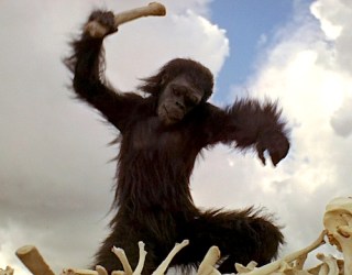 Dawn of the Technology of the Apes