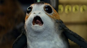 The last Porg?