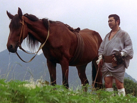 Zatoichi and the horse
