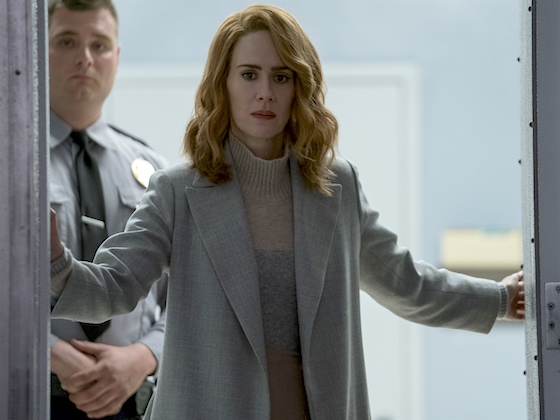 Is Dr Staple stable?