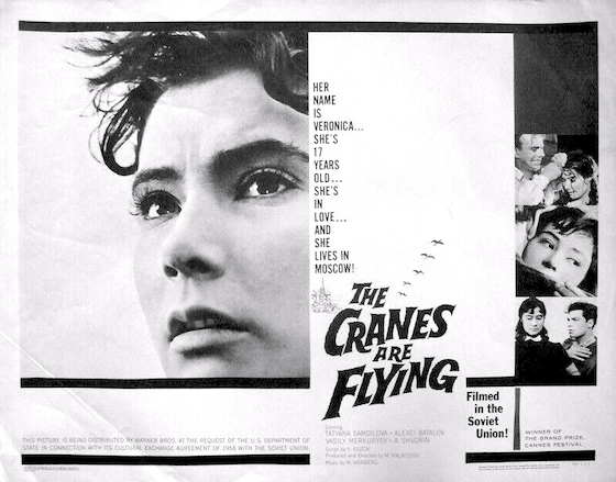 The Cranes Are Flying